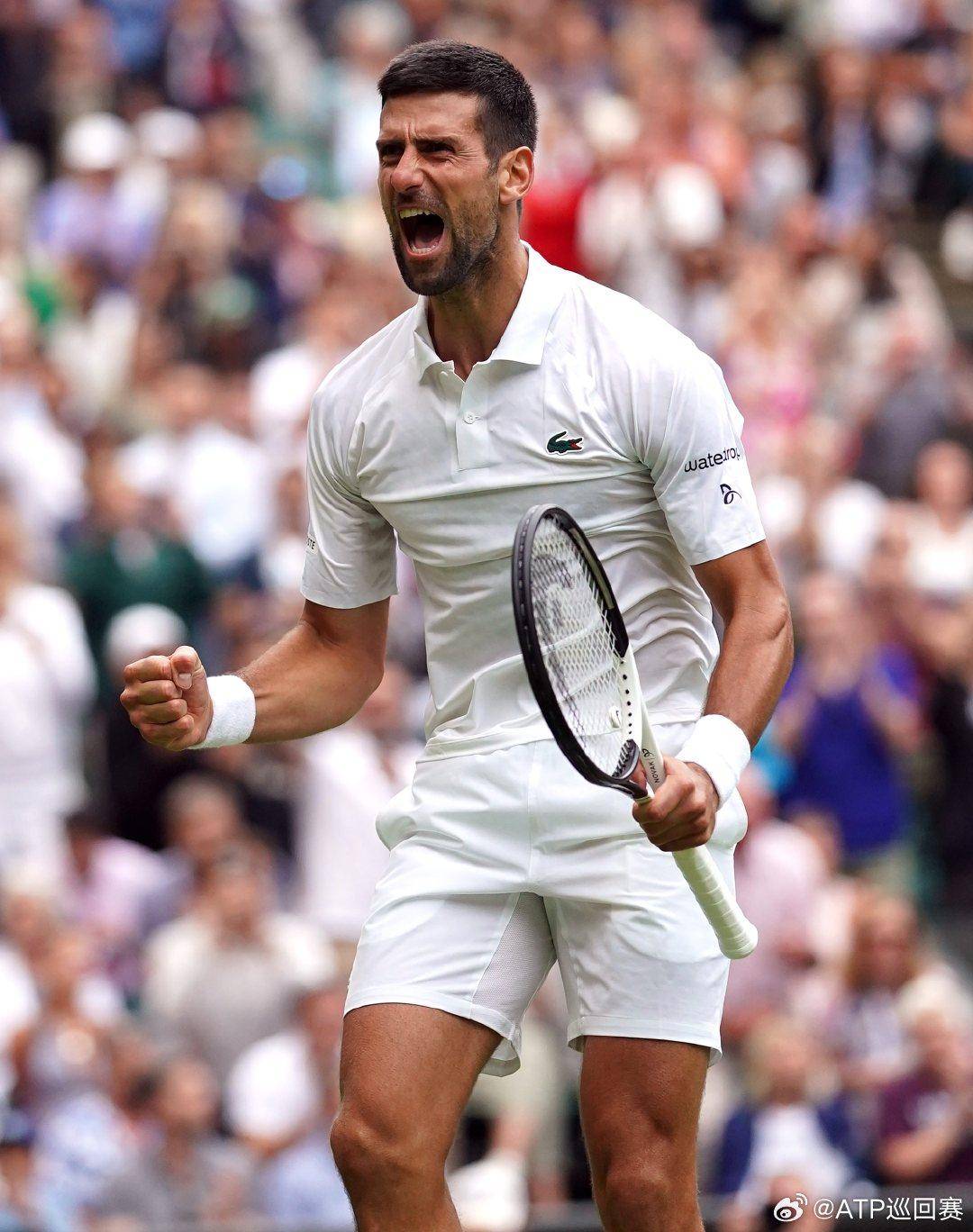 苦吞苦果 苦吞苦果