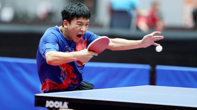 的运动员 的运动员