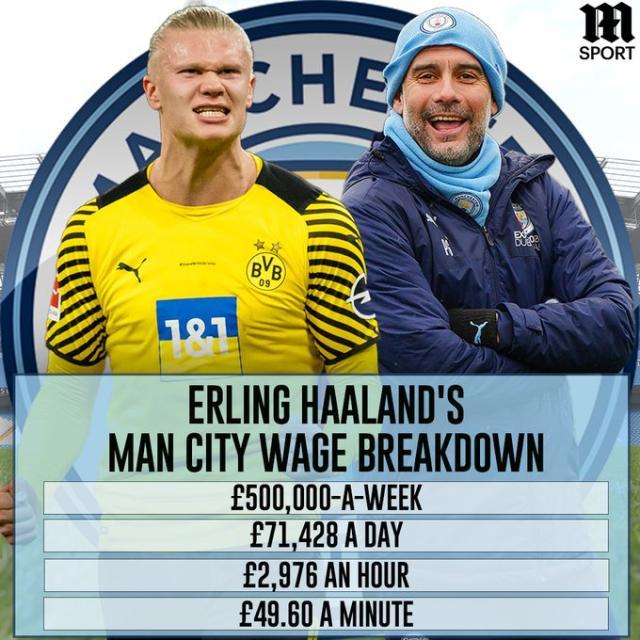 主导能力 主导能力